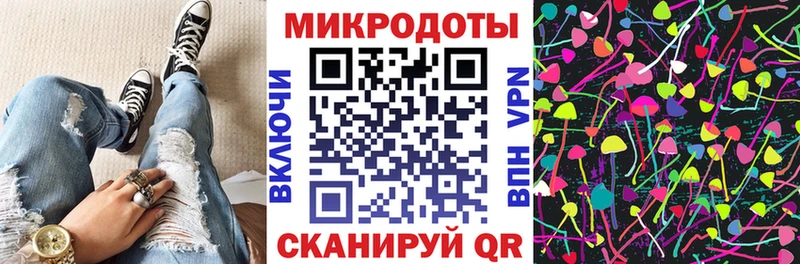 Псилоцибиновые грибы Psilocybe  МЕГА ССЫЛКА  Камень-на-Оби 
